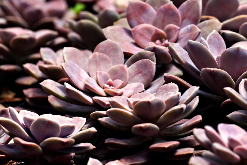 お歳暮の取引先に贈るおすすめギフトは？
