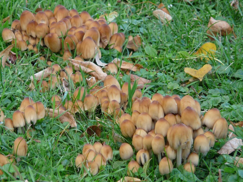 お歳暮を親戚に手渡しする集まりのタイミングはいつがベスト？