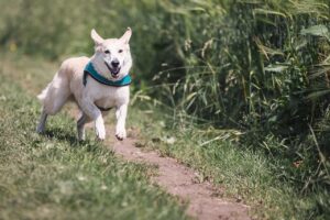 お歳暮を贈る際に取引先への年末挨拶訪問で失礼にならないポイントは？