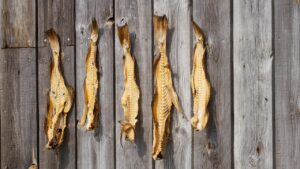 お歳暮に最適な干物を常温で贈る取引先向けのおすすめは？