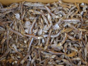 お歳暮に最適な干物ギフトは上司向けにどれがおすすめ？