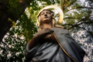 お歳暮のいくらランキングで親戚向けにおすすめの商品は？