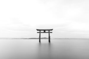 お歳暮の体験談や口コミはどこで探せばいい？