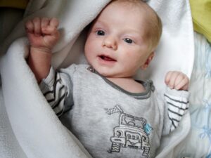 お歳暮の選び方は初心者でも簡単にできる？